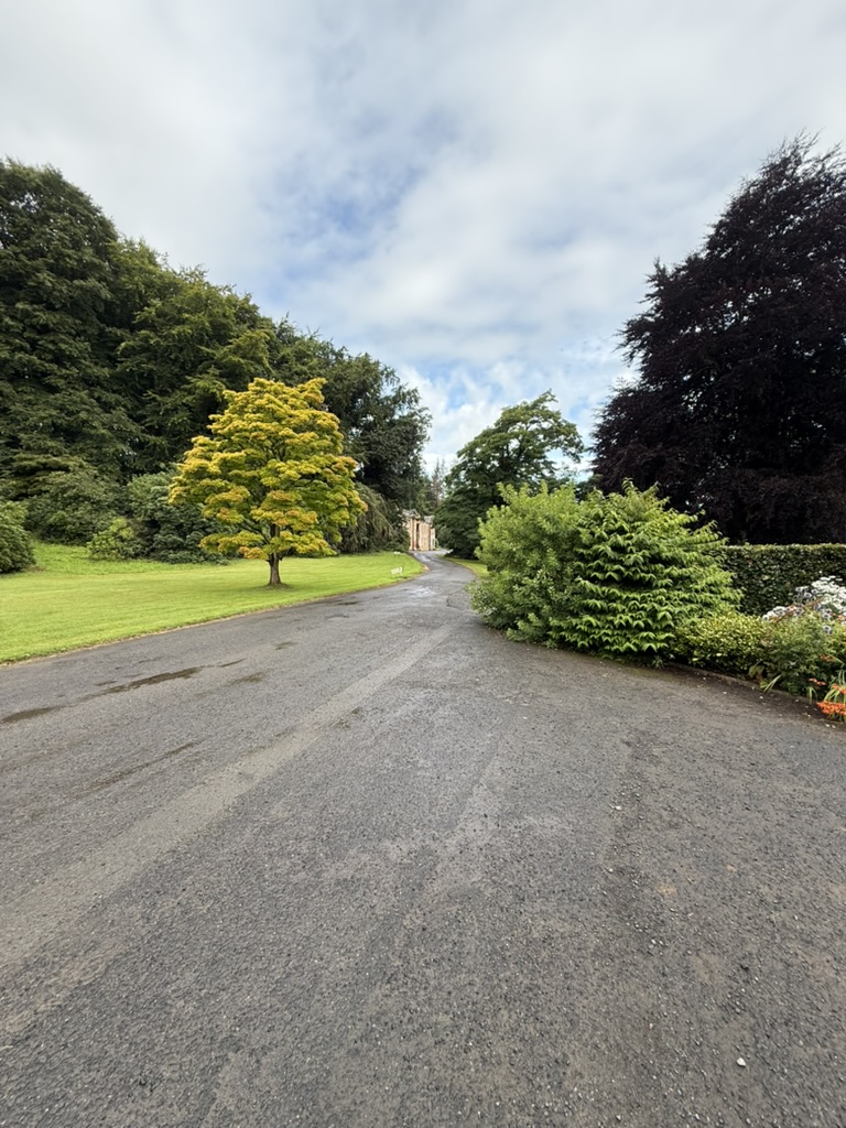 Tree‑lined driveway at Warrick Hall with shrubs and a building in the distance.