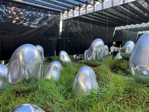 Metal orbs in moss garden that can light up