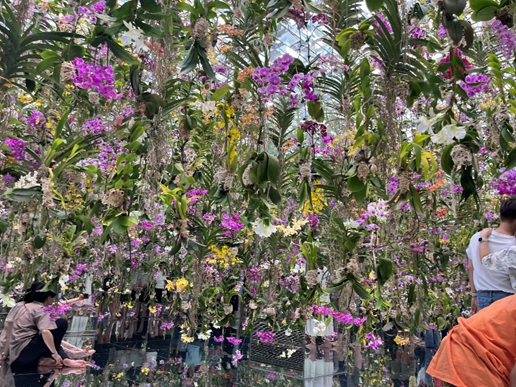 Floating flower garden with many types of different flowers that move up and down if you go near them or away from them.