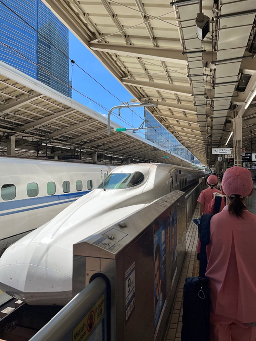 Picture of a bullet train, also know as the shinkansen, pulling into the station.